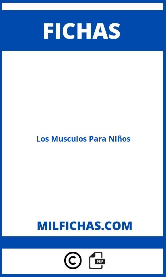 Fichas De Los Musculos Para Niños Para Imprimir