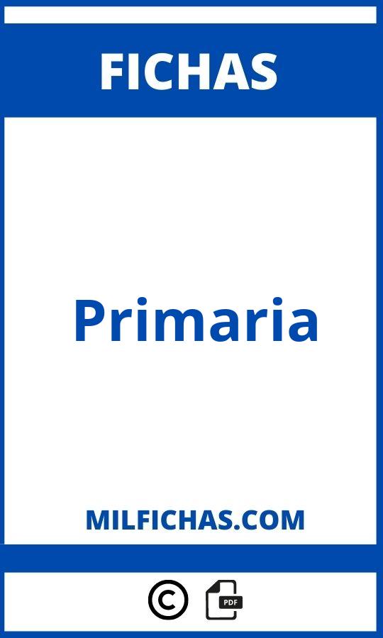 Fichas De Primaria Para Imprimir